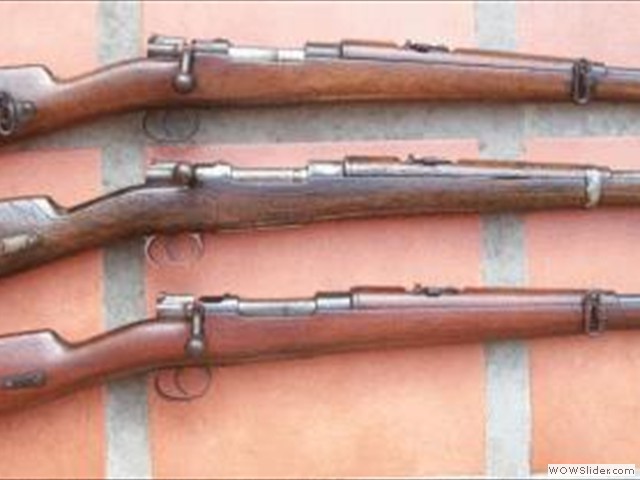 M95 Mauser Carbines - all named