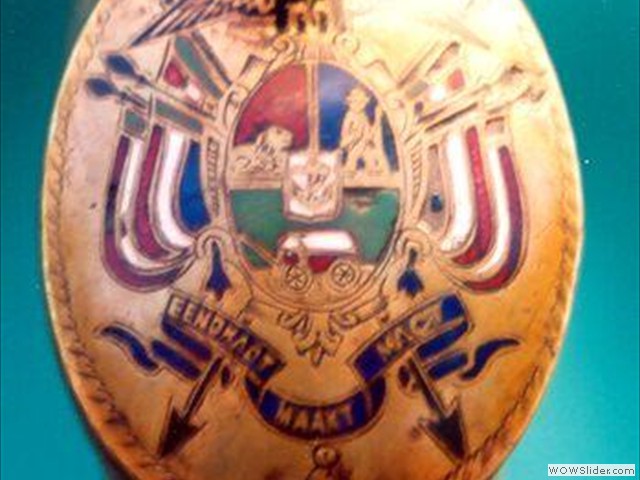 ZAR Coat of Arms on Martini